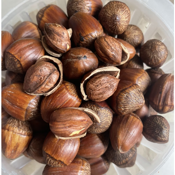 嫩个2023年新货大榛子东北土特产大粒榛子长白山坚果500g500g500罐