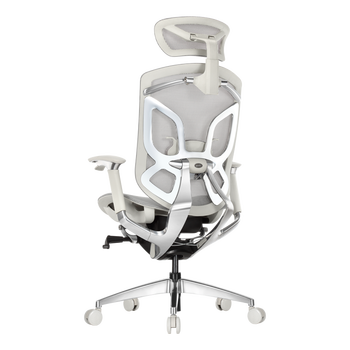 Ergoup有谱人体工学椅电脑椅怎么样？体验后讲实情内幕？