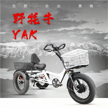 悦蹄自行车 三轮 电子变速 机械变速 力矩助力 差速器 越野 长途旅行