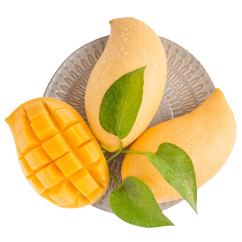 马保果云南鹰嘴芒 新鲜水果当季甜心大黄皮芒香甜无丝精美礼盒孕妇