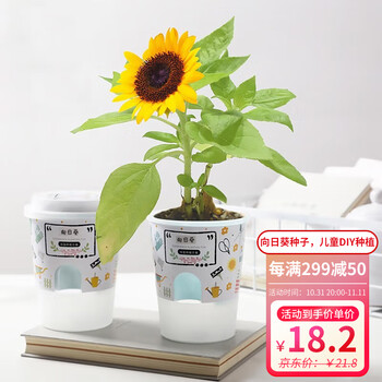 九月生品牌的优质绿植盆栽价格及产品推荐|网络绿植盆栽商品历史价格查询