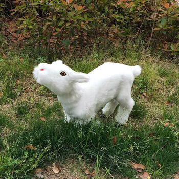 齐辰维津仿真动物山羊模型工艺品标本山羊摆件奶粉店绵羊模型假羊道具