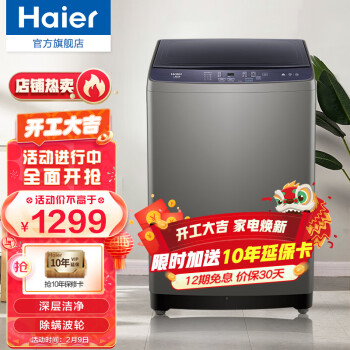 海尔（Haier）洗衣机 10KG全自动波轮 健康除螨 洗脱一体 家用大容量 智能自编程 10KG 波轮洗衣机【深层洁净 除螨波轮】