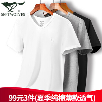 【七匹狼】男士T恤价格走势怎么样?详细解析!