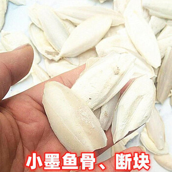 墨鱼骨海螵鞘鹦鹉专用打磨补钙墨鱼骨虎皮乌贼骨500克1斤小墨鱼骨断块