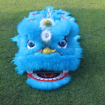 6寸单人高级浅蓝色羊毛狮子