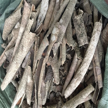 中药材薄皮救必应救必应薄皮龙胆木自然晒干树皮100克