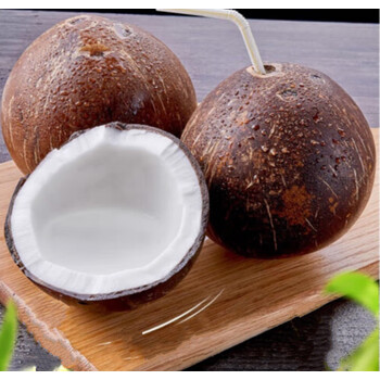 海南牛奶黑椰皇 新鲜当季水果椰青椰皇老椰子肉 6个