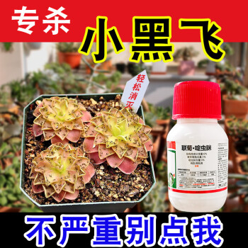 千百季杀虫剂:环保无毒,高效持久,受到消费者青睐