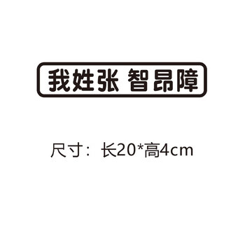 我姓张_智昂障【图片 价格 品牌 报价】-京东