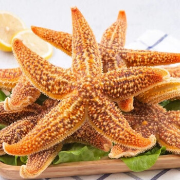 井掌柜jd物流海星鲜活海鲜青岛新鲜满籽熟冻即食五角大海星1斤精选
