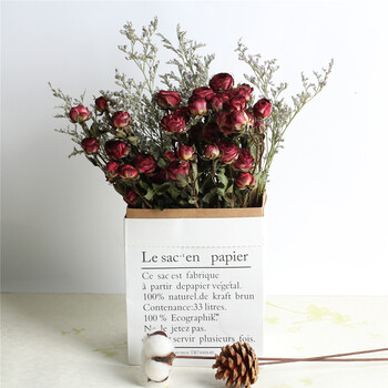干花花束玫瑰花ins北欧风小清新家居蔷薇花花束办公摆设客厅装饰巧克力泡泡30朵花头含纸袋干树枝 图片价格品牌报价 京东