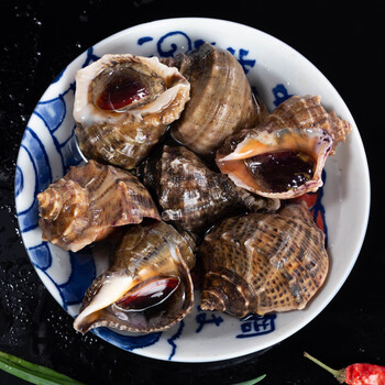 十里馋海螺批发新鲜大中小超肥海螺贝类海鲜水产鲜活特大海捕海螺肉 4