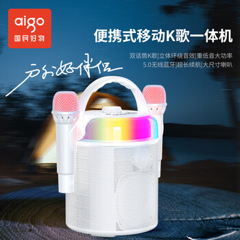 爱国者T188无线蓝牙音箱家庭KTV音响户外广场舞小音响手提便携式K歌麦克风一体机  双话筒皓月白