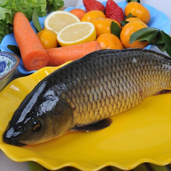 lism【嫩江鲤鱼】东北嫩江鲤鱼2-5斤美味鲤鱼 3斤三花鲤鱼