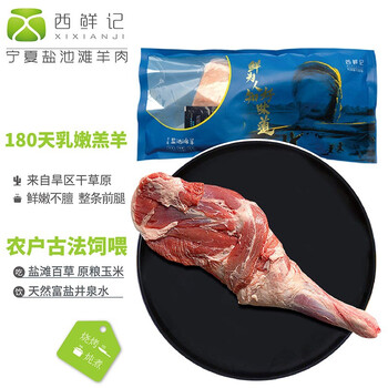 飞涨中的全新商品-探索价格趋势