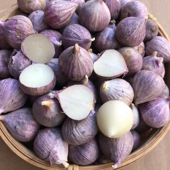 独头蒜紫皮大蒜头珍珠蒜5斤小独蒜干蒜云南红皮鲜
