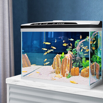 初听智能恒温超白玻璃鱼缸客厅小型自循环家用水族箱生态免换水金 超