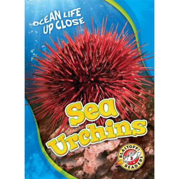 预订 sea urchins