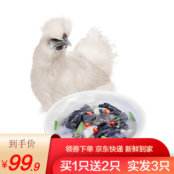 白凤乌鸡新鲜宰杀整鸡整只装净重约700g/只