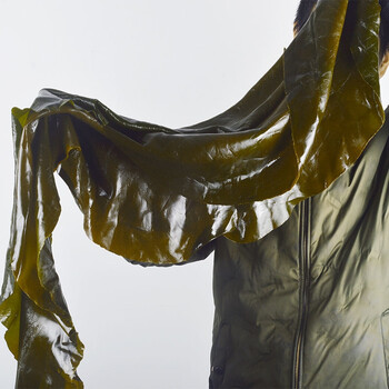 整颗海带厚海带新鲜野生凉拌火锅煲汤盐渍海带嫩芽海藻菜特干海带丝1