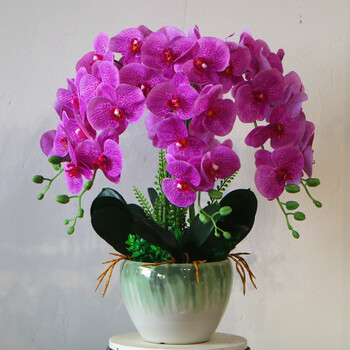 仿真花蝴蝶兰盆栽室内装饰花家居餐桌摆件假花过胶手感保湿娟花6支pu