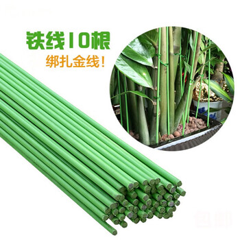 落红金钱树支撑支架兰花支柱细粗绿铁线植物爬藤园艺发财树支架家庭阳台种植4mm粗70cm 10根 图片价格品牌报价 京东