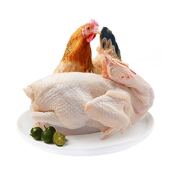 棠鲜生农家老母鸡走地鸡3年柴鸡老母鸡老母鸡2只装