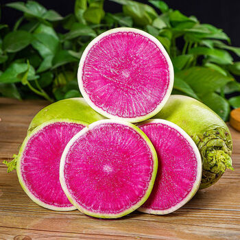 山东心里美萝卜水果红心萝卜新鲜胭脂萝卜脆甜满堂红生吃雕刻批发 十