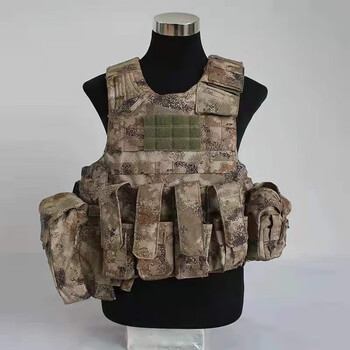 捷天下(jietianxia)新式21战术背心 新款兵单战斗携行具空星林地战术