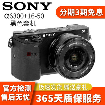 索尼(Sony)A6600 A6500 A6400 A6300 A6000半幅二手微单相机 A6300（16-50mm) 套机 95新