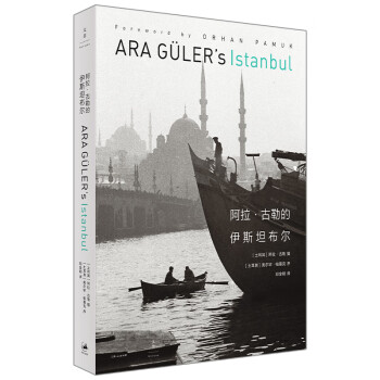 阿拉·古勒的伊斯坦布尔