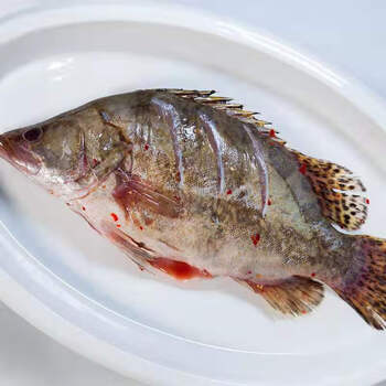 安徽臭鳜鱼臭桂鱼真空包装净膛特产徽州腌制鱼姬禄福89两三条