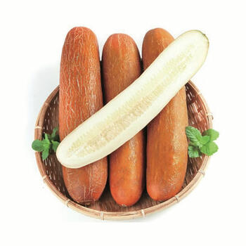 东北农家蔬菜特产老黄瓜种 麻皮老黄瓜 现摘 老黄瓜种5斤