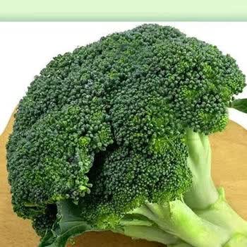 新鲜西兰花蔬菜西蓝花白花菜菜花花椰菜农家绿色营养丰富现摘现发净重2斤试吃装白菜花 图片价格品牌报价 京东