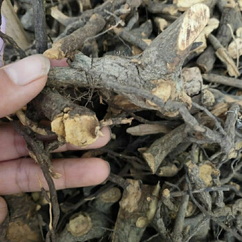 凯史甘斯睇牛仔中药材苦李脚根苦里脚根睇牛儿根500克1斤