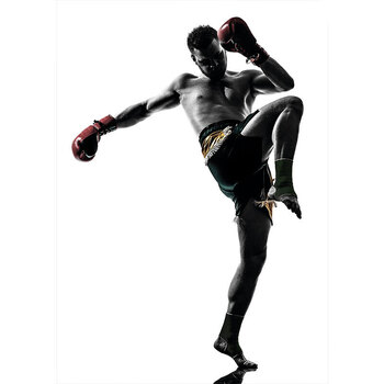 毕浩协拳击装饰画健身房壁画搏击俱乐部挂画散打挂画励志拳手海报墙纸