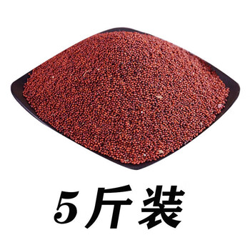 痴宴拳头粟米广西特产多规格鸭脚粟龙爪粟粒米粉新米红粟米五谷 精品