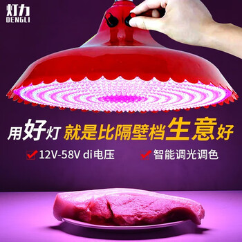 灯力 新鲜灯生鲜灯超市猪肉LED照鸡鸭摆摊灯商场地摊海鲜水果市场灯 光色可调+电池供电