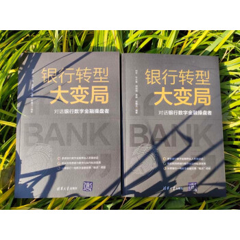 银行转型大变局：对话银行数字金融操盘者（对话银行数字金融操盘者）