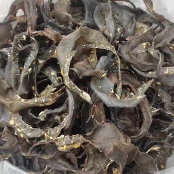 杞生纪水产干货大片中华甲鱼裙边干货天然晒干特厚淡干水鱼裙板黑色35