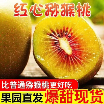 李享食丰现货速发四川浦江红心猕猴桃红心新鲜当季猕猴桃孕妇宝宝水果甜美 20个装（120g以上）