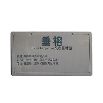 京仑 景区公园不锈钢树牌植物绿化介绍挂牌金属铝牌标牌【可定制】