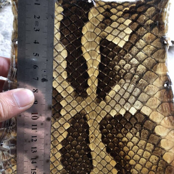 新店特惠蟒皮二胡皮中胡高胡尾部尾巴根二弦用皮单块蒙皮全国 b系中间