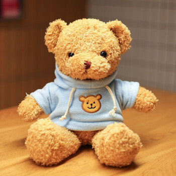礼盒小熊公仔玩偶泰迪熊娃娃毛绒玩具生日礼物送男女朋友礼品 卫衣熊