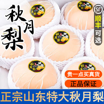 果小姐果鲜生山东秋月梨（顺丰可选）脆甜梨子超大孕妇水果中秋节礼盒团购 大果【单果300g起】5斤