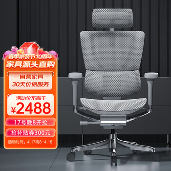 保友办公家具（Ergonor）优旗舰 2代 人体工学椅电脑椅办公椅护腰电竞椅 银白(Q4.0)美国网