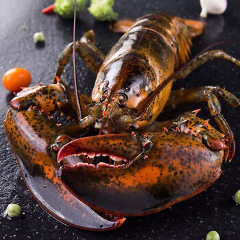 冰鲜波士顿龙虾大波龙鲜活速冻海鲜龙虾特大3-15斤超大波龙 5斤