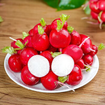 鑫卓煌樱桃萝卜新鲜水萝卜农家自种蔬菜现挖迷你小萝卜 5斤【现挖现发