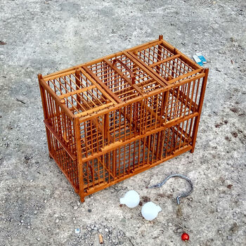 升级款黄豆鸟收藏踏笼画眉笼鸟笼 媒子鸟笼 母鸟笼,上山笼 (画眉)大号